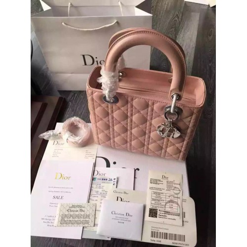 Dior Bag 004